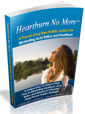 Heartburn No More  - Heartburn  Cure Book