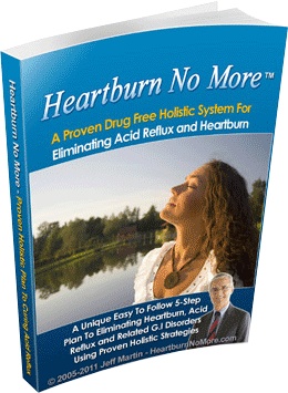 Heartburn No More Book